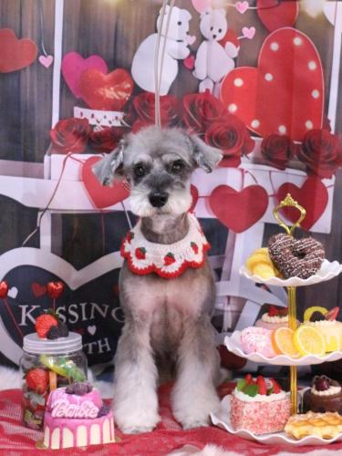 20250215ラーラちゃん